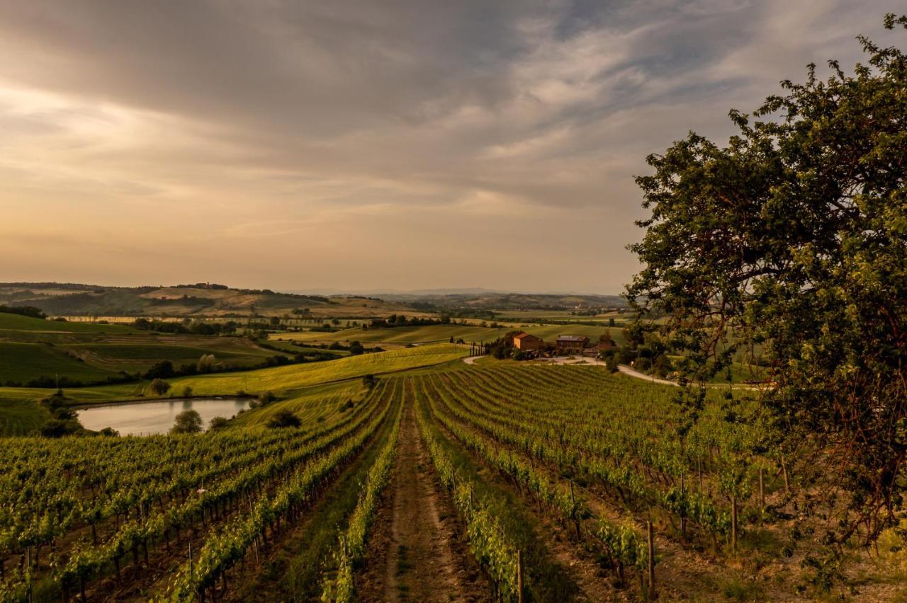 Wine Resort Colsereno มอนตาลชิโน ภายนอก รูปภาพ