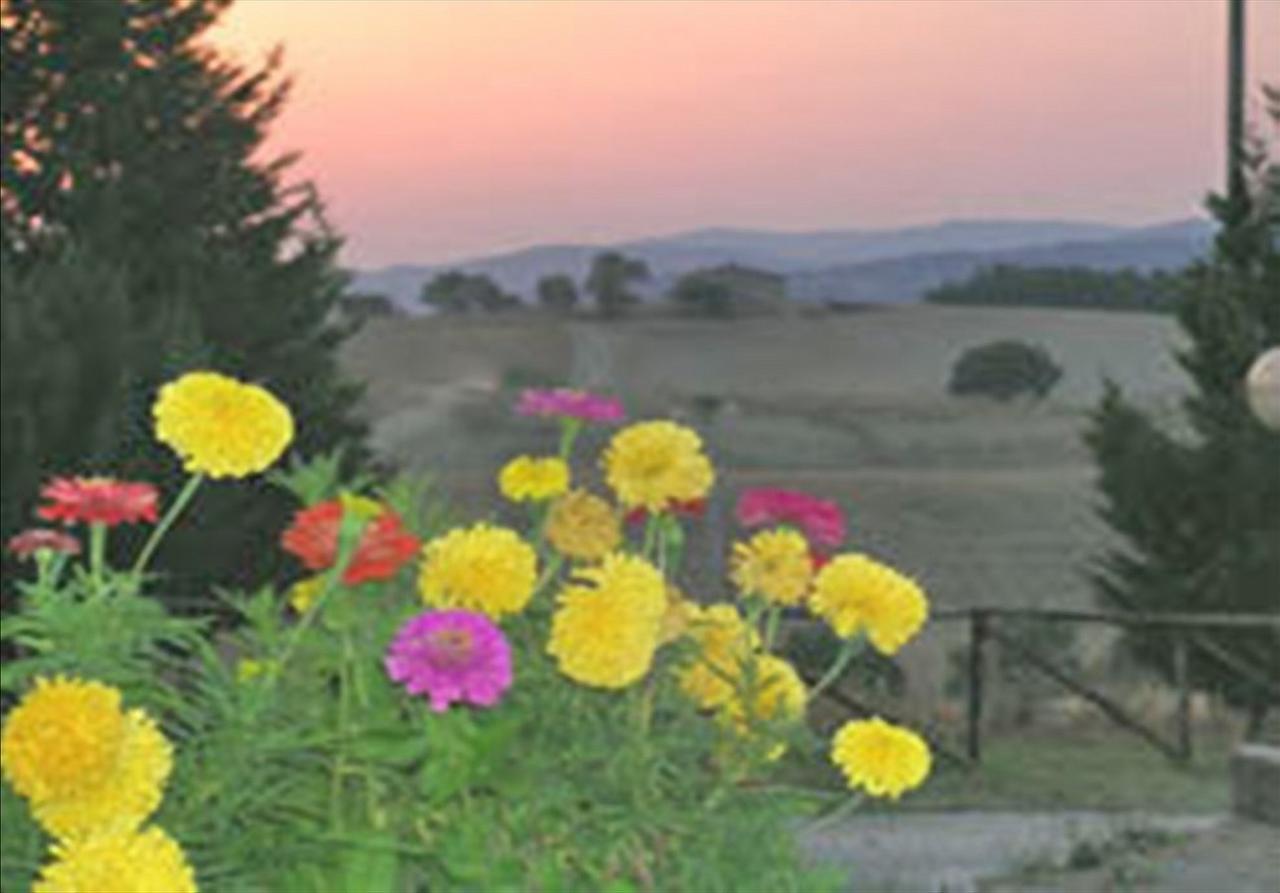 Wine Resort Colsereno มอนตาลชิโน ภายนอก รูปภาพ